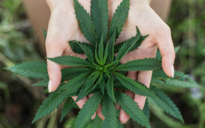 Clients and Marijuana Use… What’s a Doula to do?!