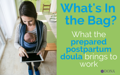 Modern “Mary Poppins” – A Guide to The Professional Postpartum Doula Bag