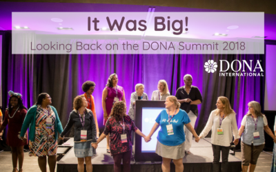 It Was Big! In-Person DONA Summit 2018 Wrap Up