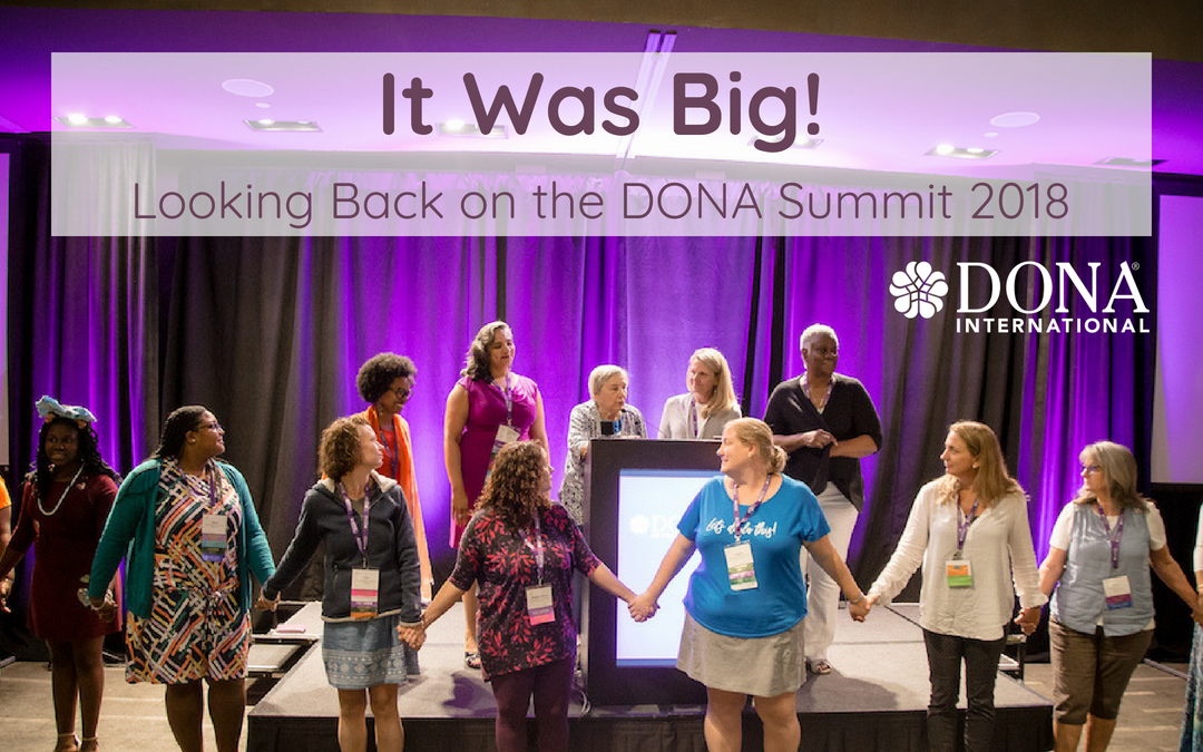 It Was Big! In-Person DONA Summit 2018 Wrap Up