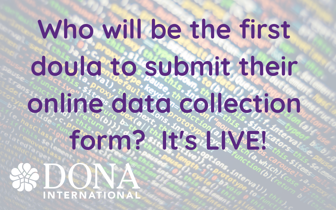 WE’RE LIVE! Introducing DONA International’s New Online Data Collection System